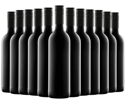 Picture of 50% OFF - 2024 Export Chardonnay 